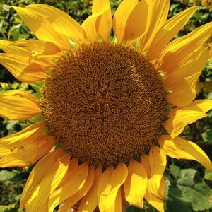 Meet your Posher, Cathy